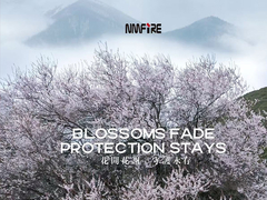 これ以上NMFIREの火